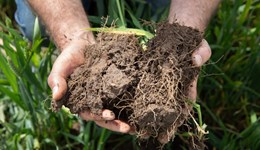 North Lancashire:  Improving soils by breaking the phosphate cycle